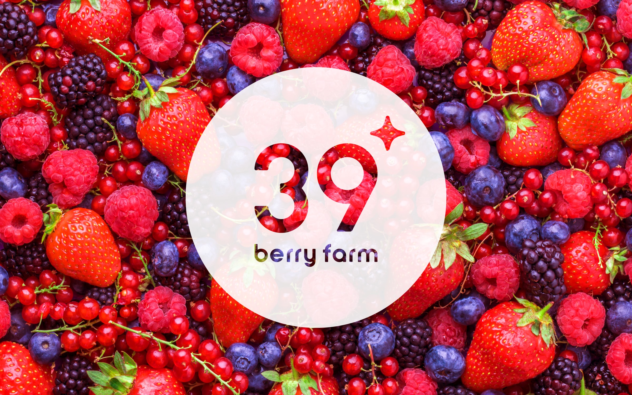 39 berry farm VI 1枚目