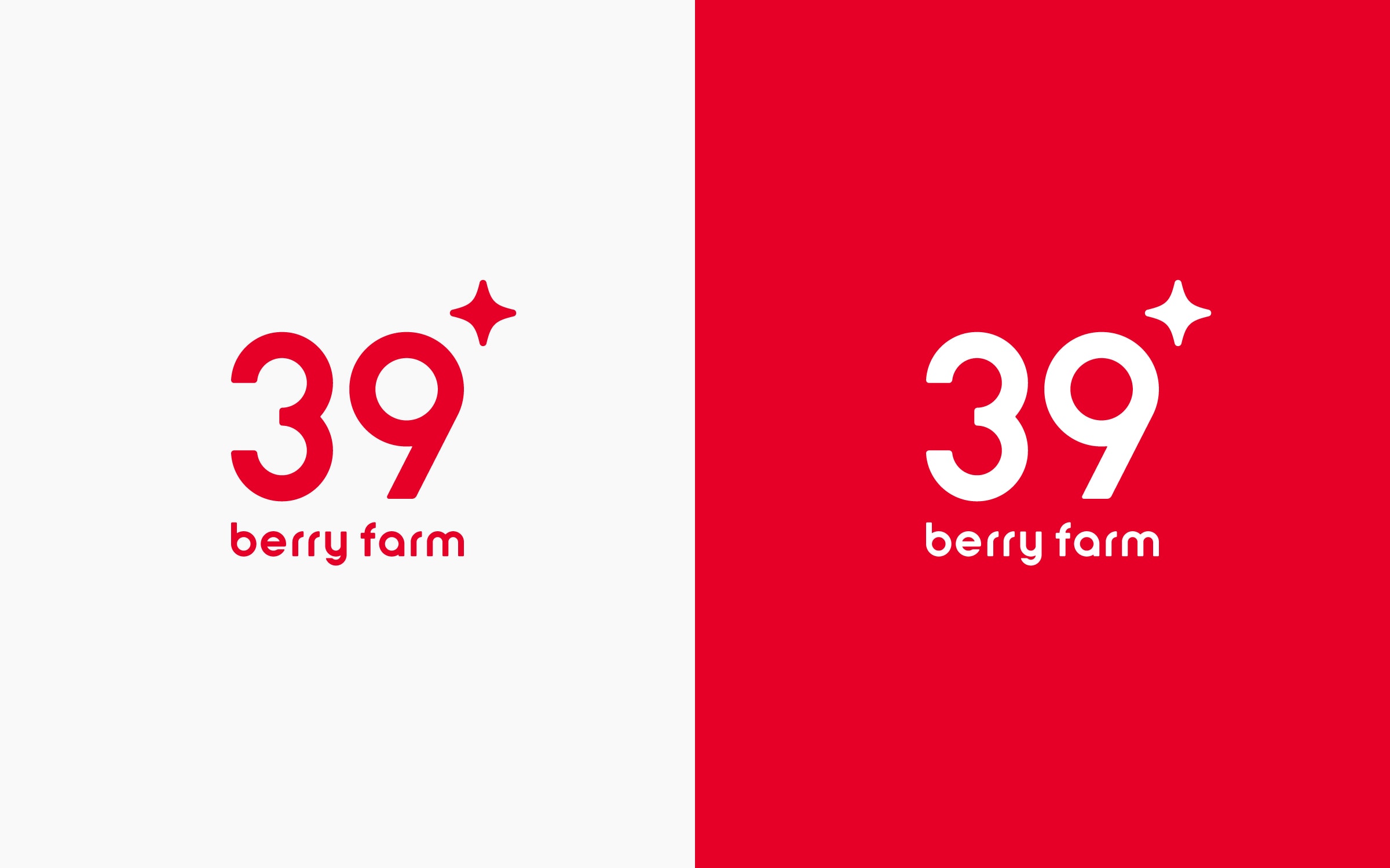 39 berry farm VI 5枚目